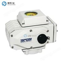 TACWELL電動執(zhí)行器TM50