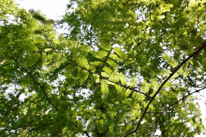 以零碳工厂建设引领工业变革，系统重塑绿色制造新模式