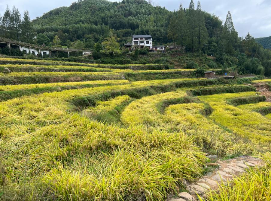 山東省農(nóng)機(jī)補(bǔ)貼“有進(jìn)有出”：秸稈還田整地播種機(jī)直接退出補(bǔ)貼