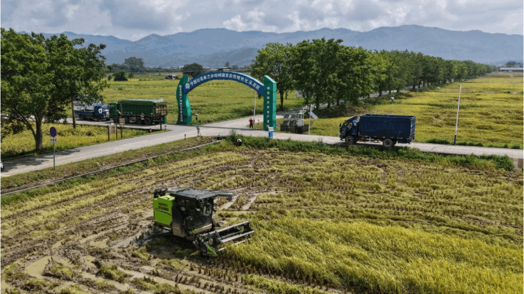 機器可靠，服務隨行！中聯(lián)重科全力護航跨區(qū)“雙搶”